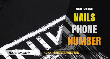 Nine Inch Nails Contact Info: How to Reach the Band