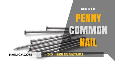 Understanding the Common 10 Penny Nail: Uses, Sizes, and Applications