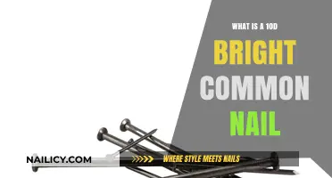 Understanding 10d Bright Common Nails: Uses, Sizes, and Applications