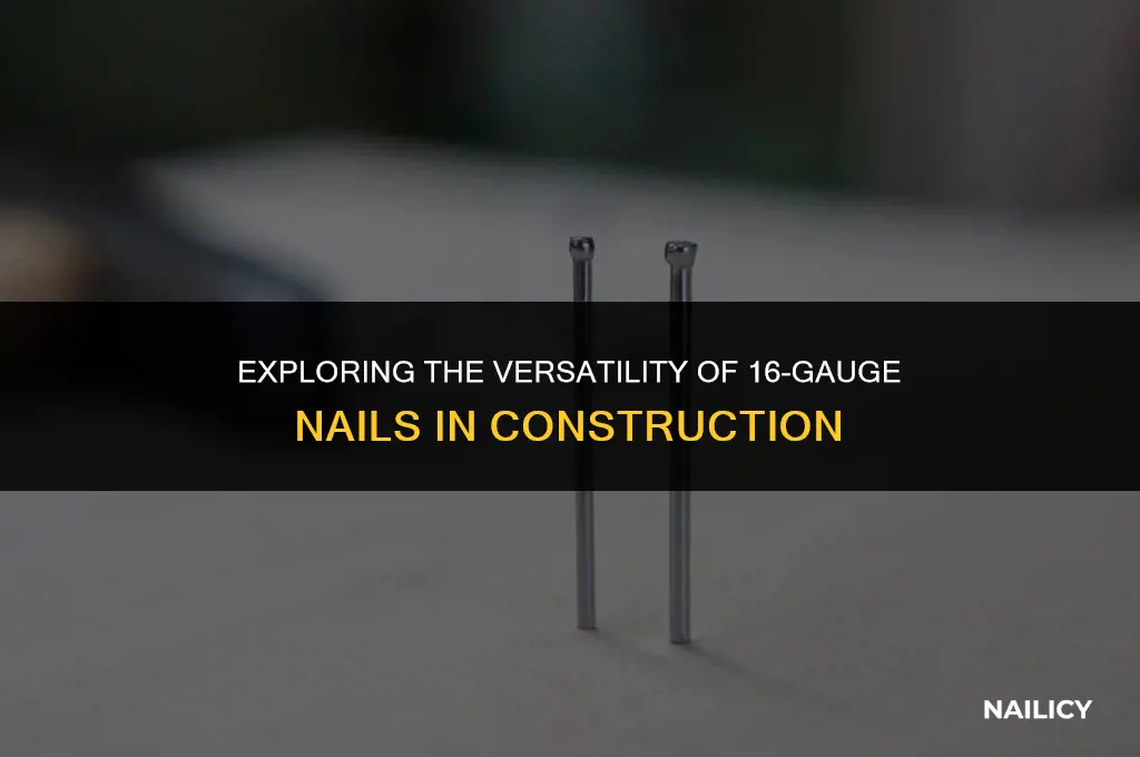 what is a 16 nail