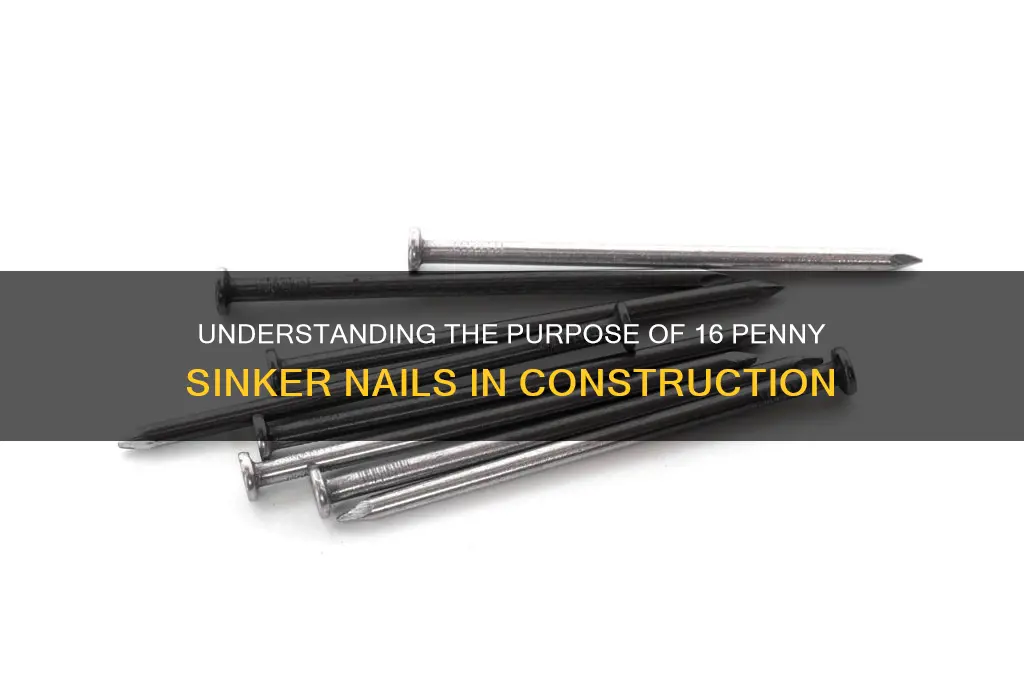 what is a 16 penny sinker nail for
