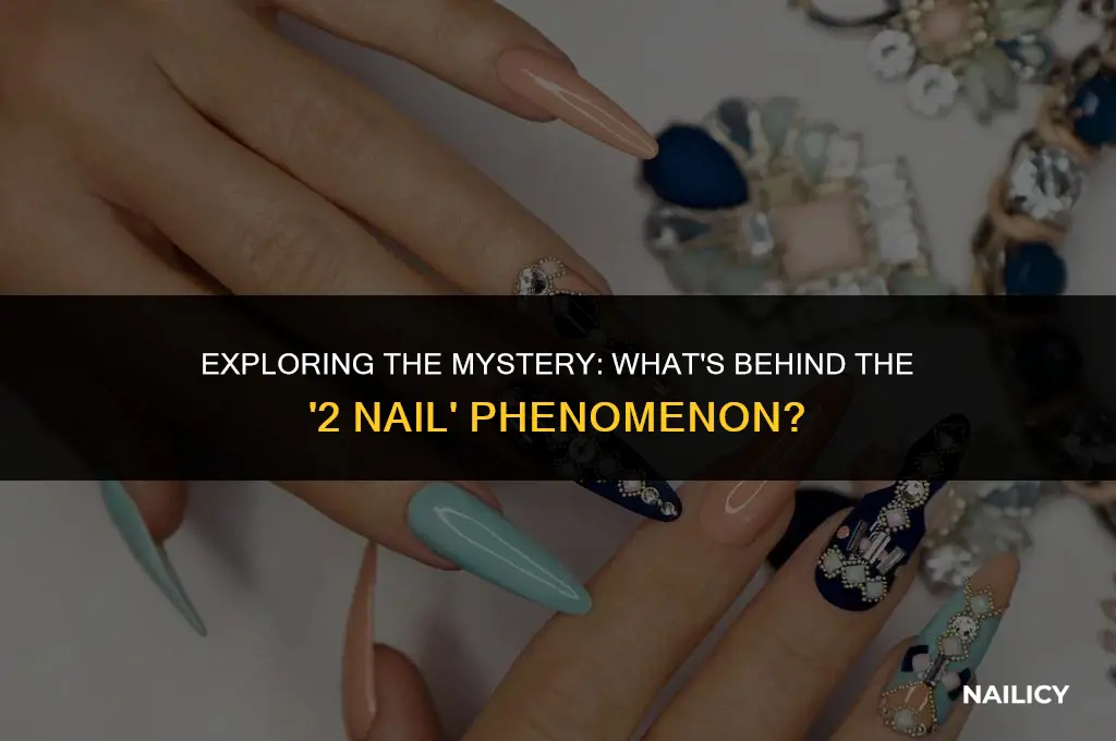 what is a 2 nail