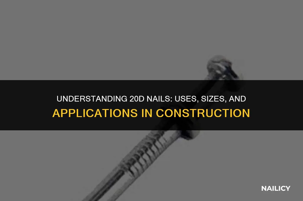what is a 20d nail