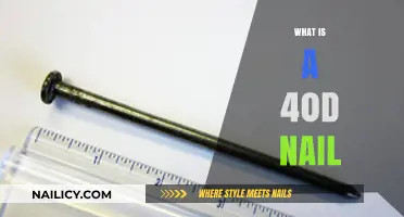 Understanding the Versatile 40d Nail: A Comprehensive Guide