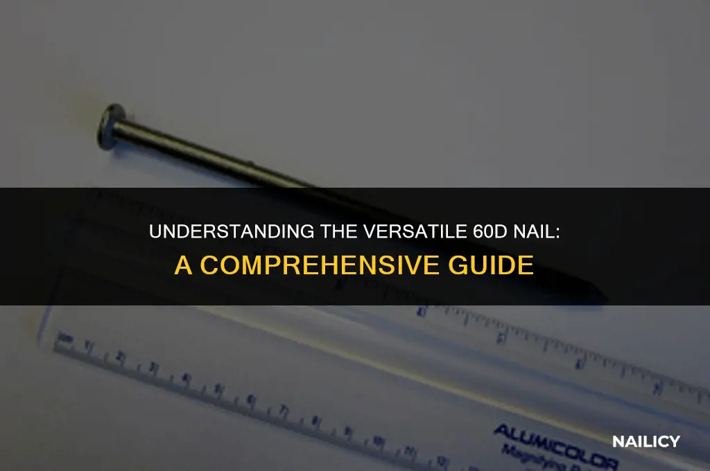 what is a 60d nail