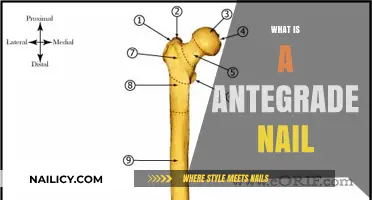 Understanding Antegrade Nails: A Comprehensive Guide for Patients