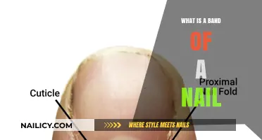 Understanding the Band of a Nail: Function, Care, and Common Issues