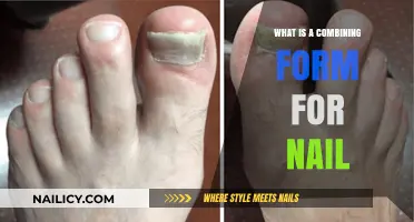 Understanding Onycho: The Combining Form for Nail in Medical Terminology