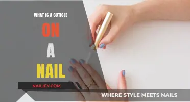 Understanding Nail Cuticles: Their Role, Care, and Importance Explained