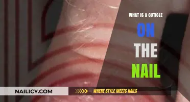 Understanding Nail Cuticles: Their Role, Care, and Importance Explained