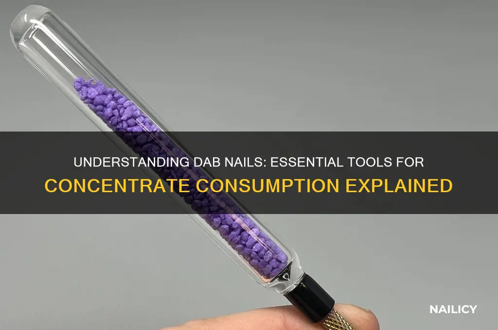 what is a dab nail