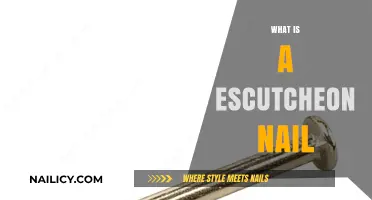Exploring the Intricacies of Escutcheon Nails: A Comprehensive Guide
