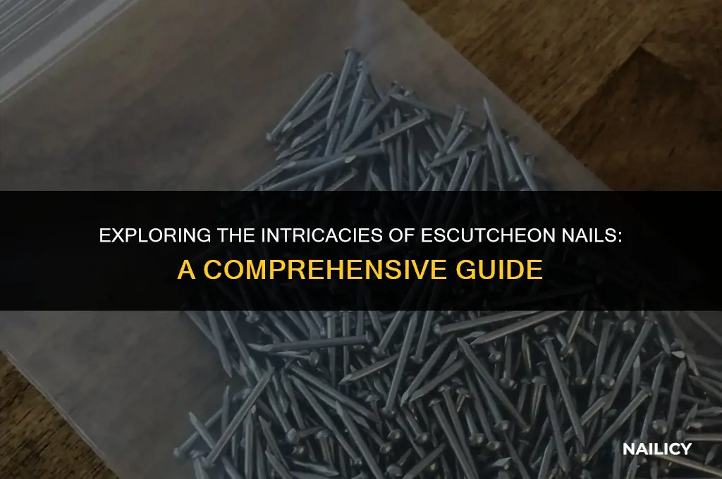 what is a escutcheon nail