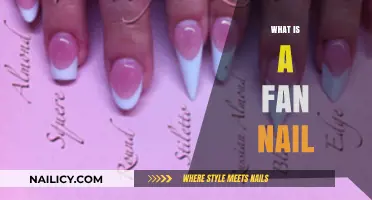 Exploring the Unique Charm of Fan-Shaped Nail Art Designs