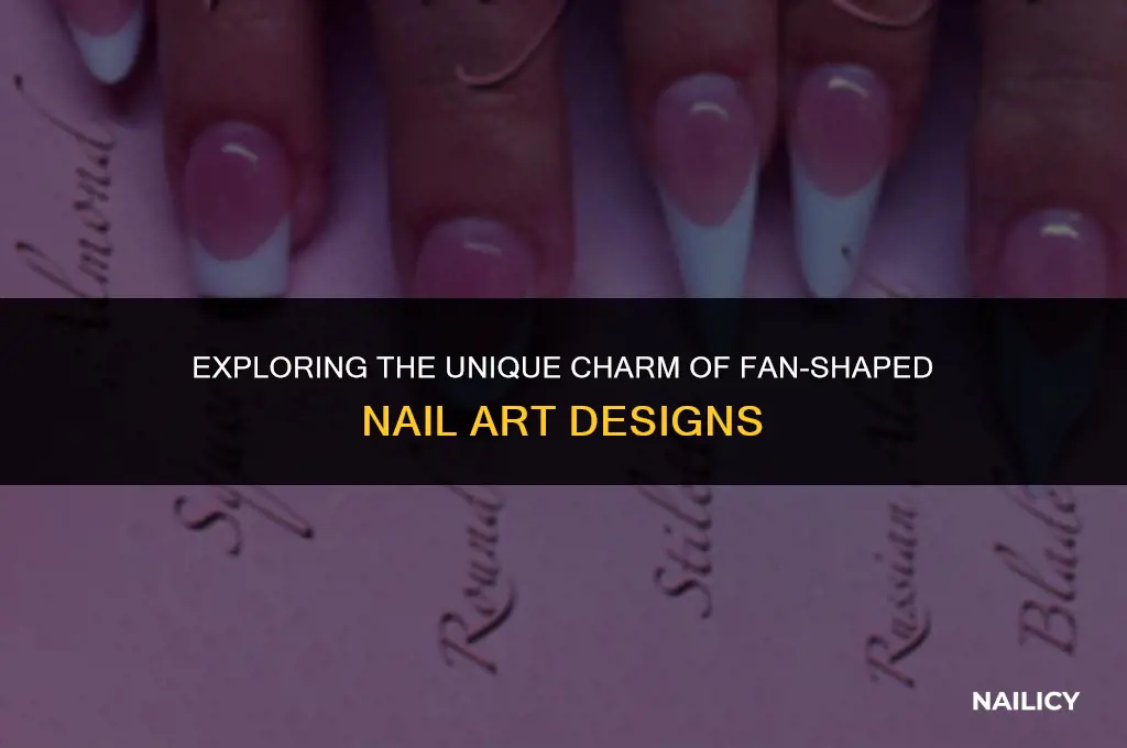 what is a fan nail