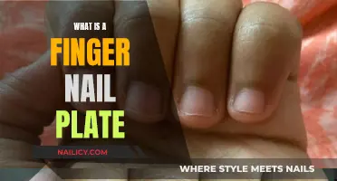 Unraveling the Mystery: What is a Finger Nail Plate?