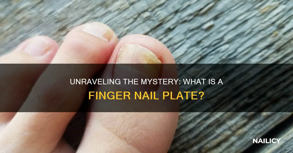 what is a finger nail plate