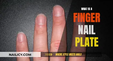 The Science of Fingernails: Understanding the Nail Plate