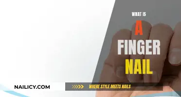 Unveiling the Mystery: What Exactly is a Fingernail?