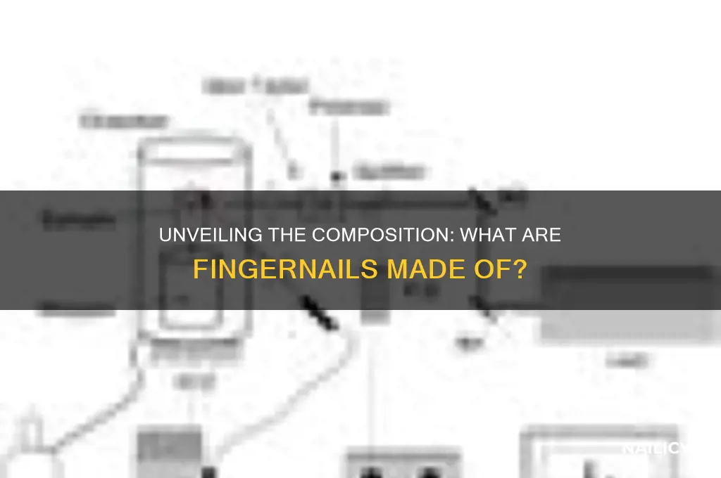 what is a fingure nail made out of