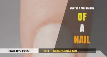 Understanding the Free Margin of a Nail: A Comprehensive Guide