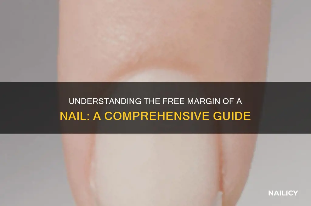 what is a free margin of a nail