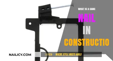 Understanding Gang Nails: Essential Fasteners in Modern Construction Techniques