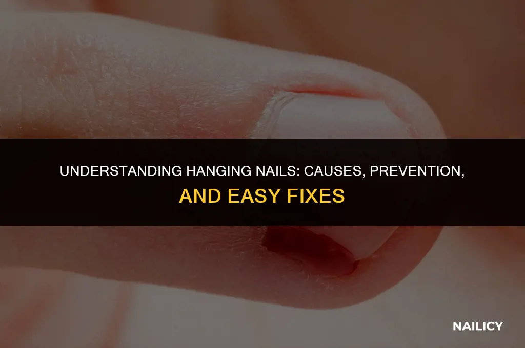 what is a hanging nail