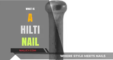 Exploring the World of Fasteners: What is a Hilti Nail?