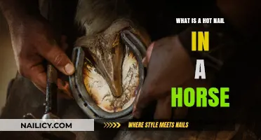 Understanding Hot Nails in Horses: Causes, Prevention, and Treatment
