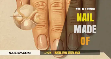 Unveiling the Composition: What Are Human Nails Made Of?