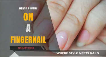 Understanding the Lunula: The Half-Moon Mystery on Your Fingernails