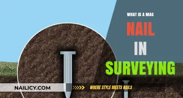 Understanding Mag Nails: Essential Tools in Modern Surveying Practices