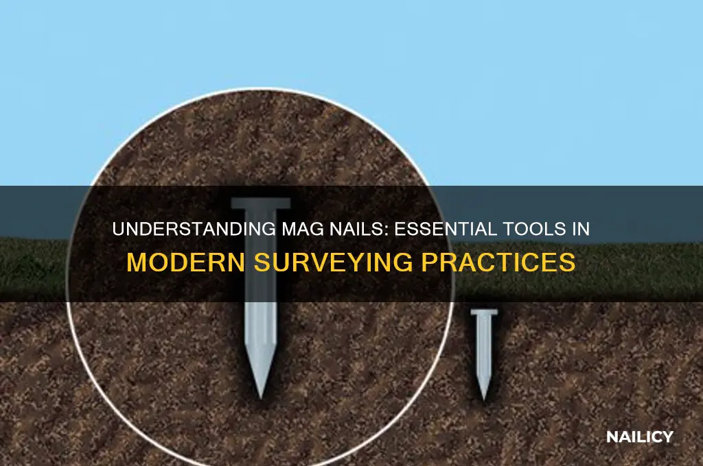 what is a mag nail in surveying