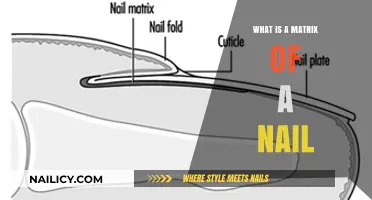 Understanding the Nail Matrix: Structure, Function, and Health Insights