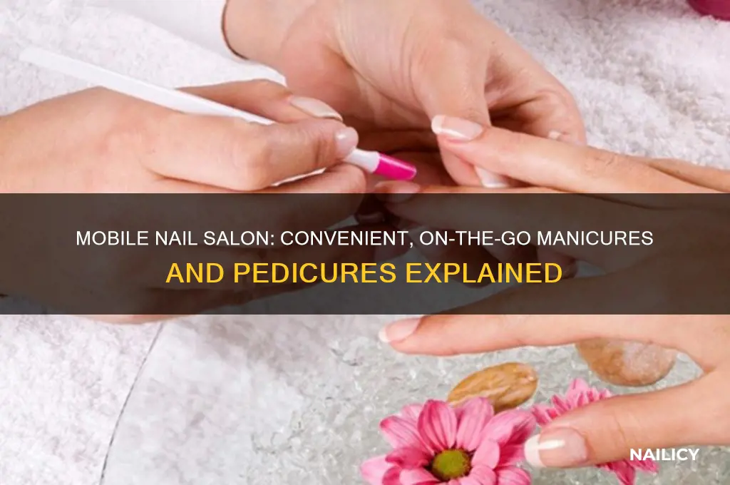 what is a mobile nail salon