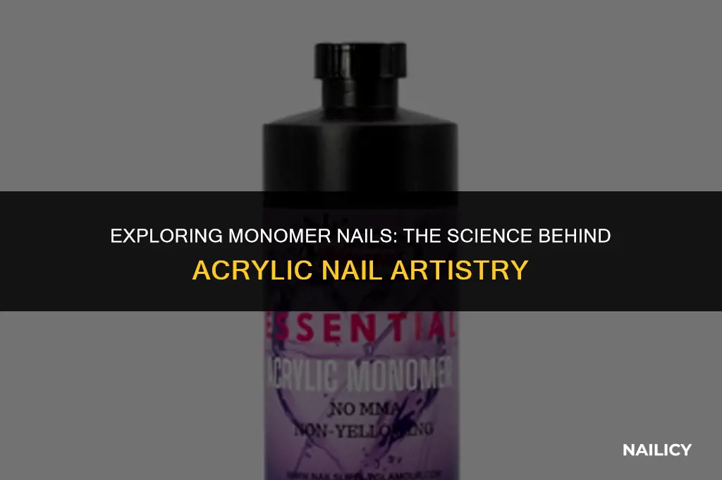 what is a monomer nails