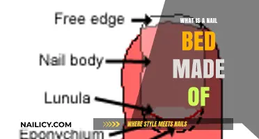Understanding the Nail Bed: Composition, Structure, and Function Explained