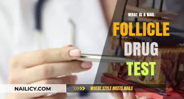 Understanding Nail Follicle Drug Tests: Uses, Accuracy, and Process Explained