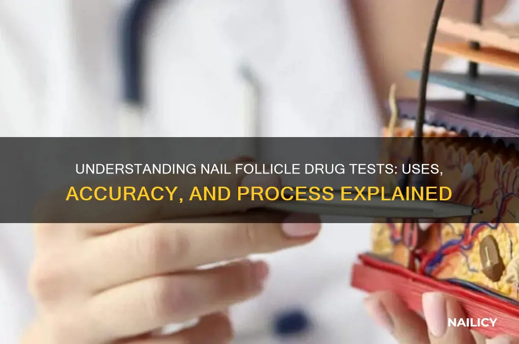 what is a nail follicle drug test