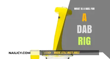 Understanding the Nail: Essential Component for Dab Rig Functionality