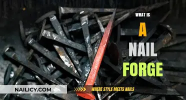 Understanding the Nail Forge: History, Craftsmanship, and Modern Applications