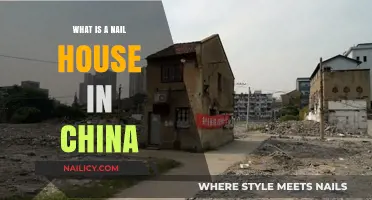 Understanding China's Nail Houses: Symbol of Resistance in Urbanization