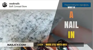 Understanding the Concept of a Nail In: A Comprehensive Guide