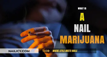 Unveiling Nail Marijuana: Understanding Its Uses, Effects, and Risks