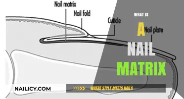 Understanding the Nail Matrix: Structure, Function, and Health Insights