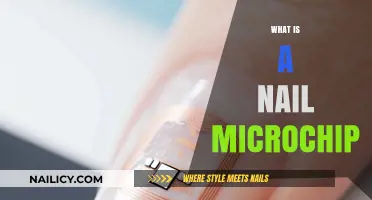 Nail Microchip Technology: Unveiling the Tiny Device's Purpose and Function