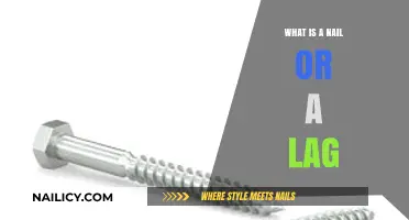 Nails vs. Lags: Understanding the Difference and Best Uses