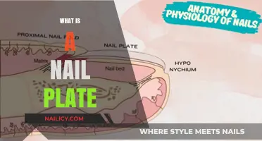 Understanding the Nail Plate: Structure, Function, and Health Insights