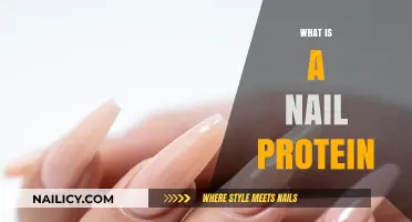Understanding Nail Protein: Strength, Structure, and Healthy Growth Explained